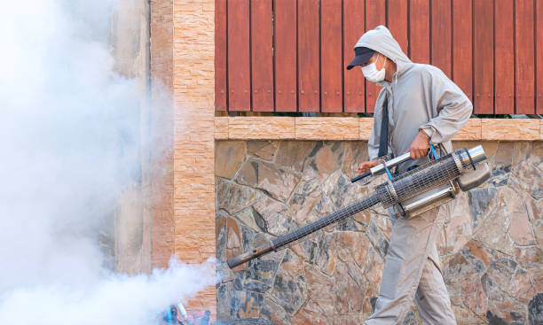 الشركه الالمانيه لاباده الحشرات في التجمع الخامس 01008808399